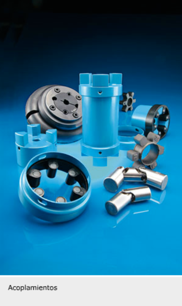 Acoplamientos SKF